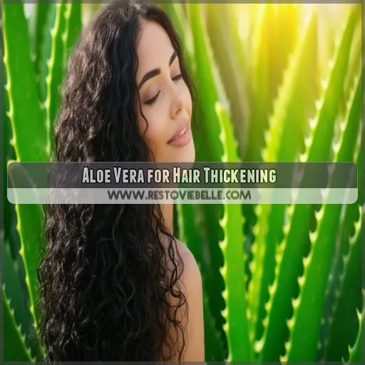 Aloe Vera for Hair Thickening