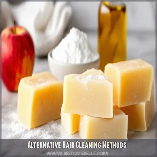 Alternative Hair Cleaning Methods