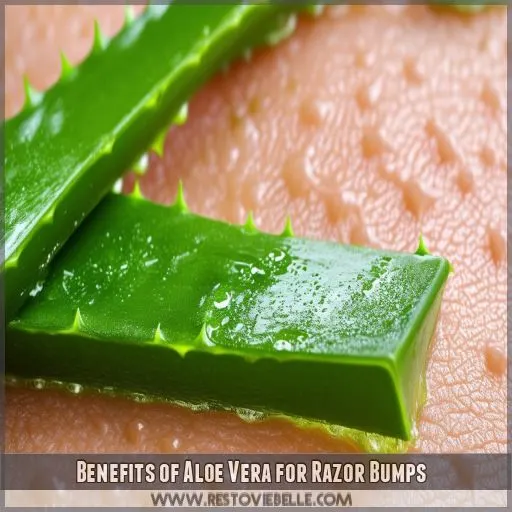 Benefits of Aloe Vera for Razor Bumps