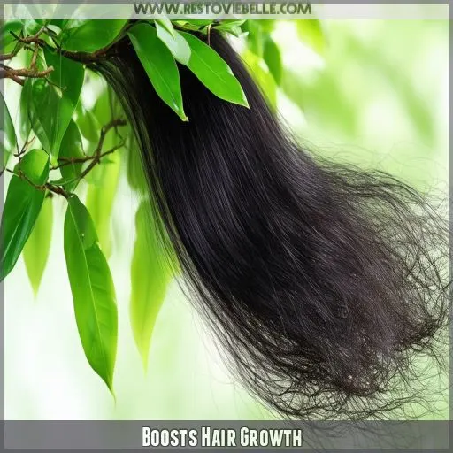 Boosts Hair Growth