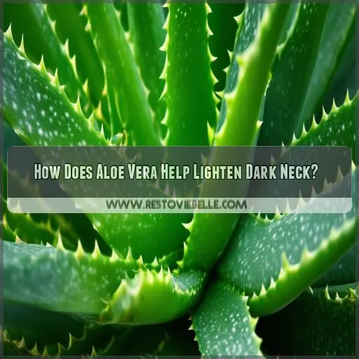 How Does Aloe Vera Help Lighten Dark Neck