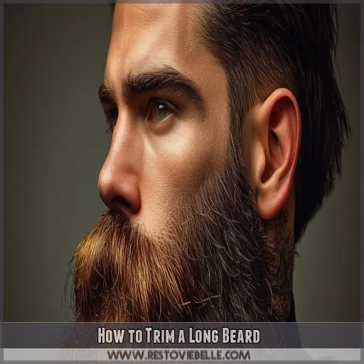 How to Trim a Long Beard