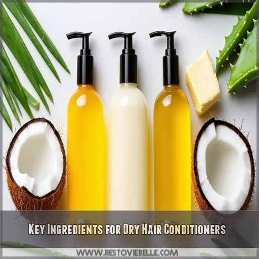 Key Ingredients for Dry Hair Conditioners
