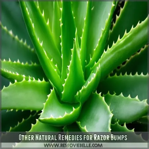 Other Natural Remedies for Razor Bumps