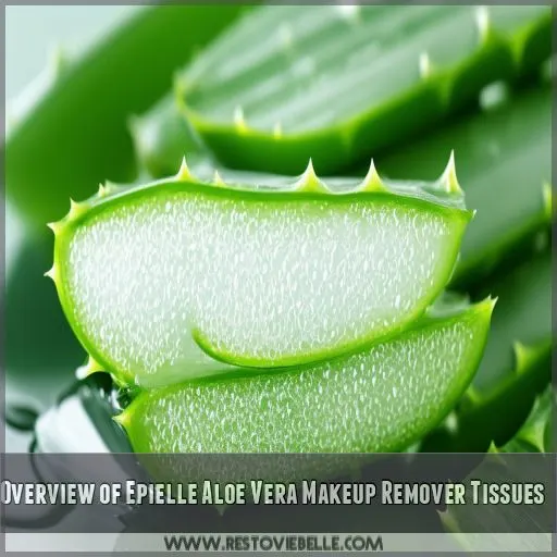 Overview of Epielle Aloe Vera Makeup Remover Tissues