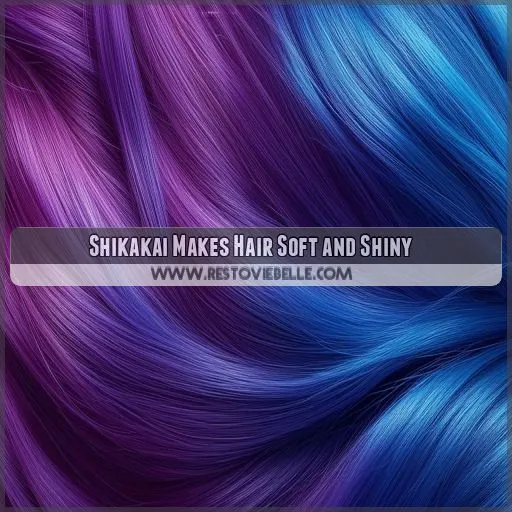 Shikakai Makes Hair Soft and Shiny