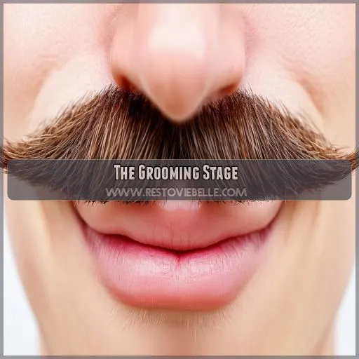 The Grooming Stage