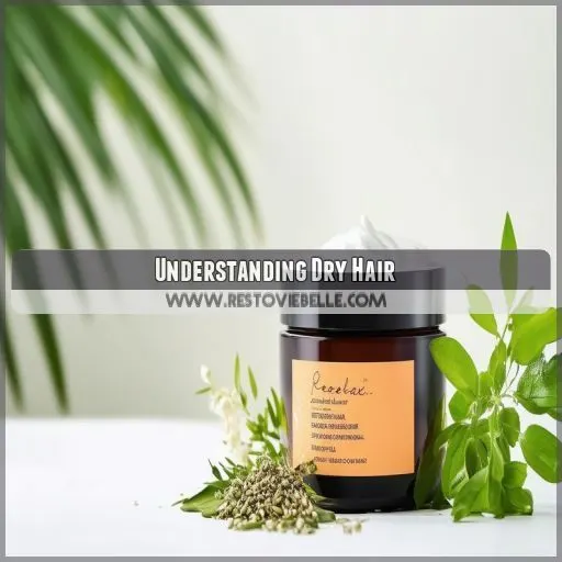 Understanding Dry Hair