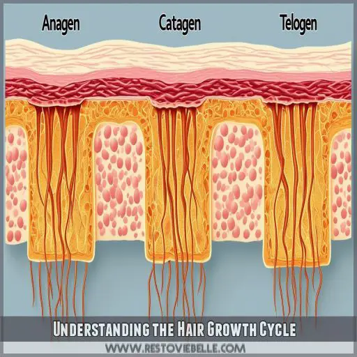 Understanding the Hair Growth Cycle