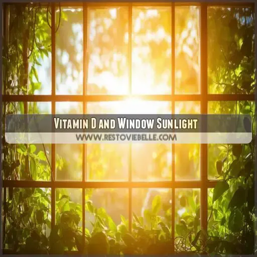 Vitamin D and Window Sunlight