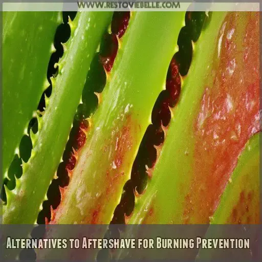 Alternatives to Aftershave for Burning Prevention