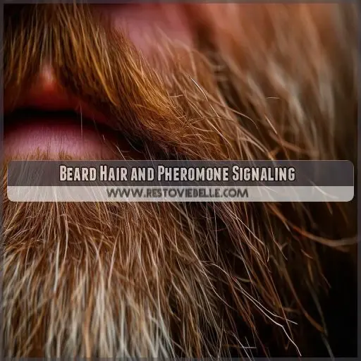 Beard Hair and Pheromone Signaling