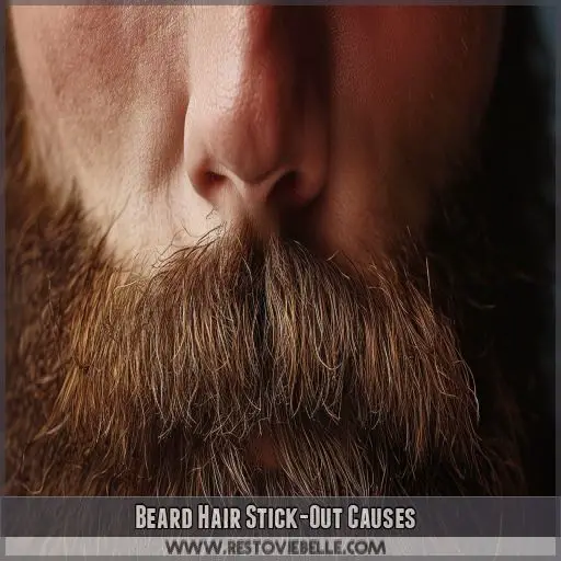 Beard Hair Stick-Out Causes