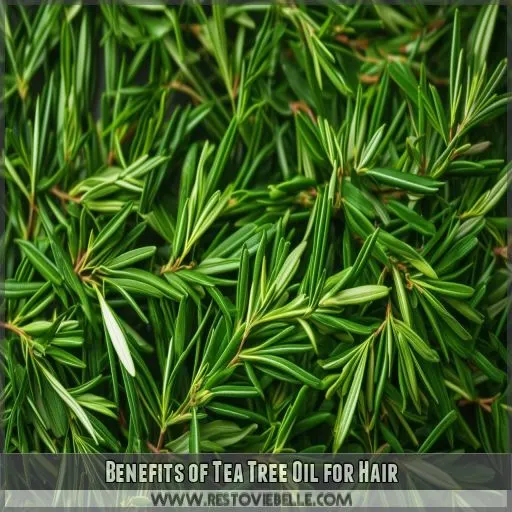 Benefits of Tea Tree Oil for Hair