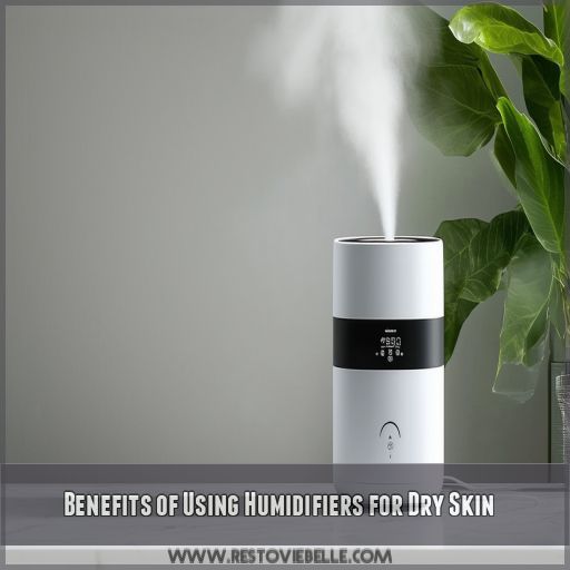 Benefits of Using Humidifiers for Dry Skin