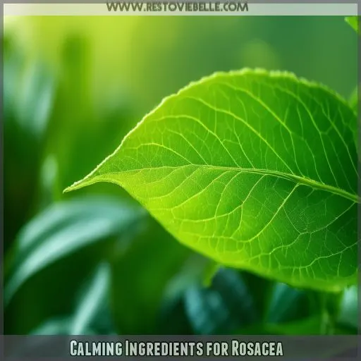 Calming Ingredients for Rosacea