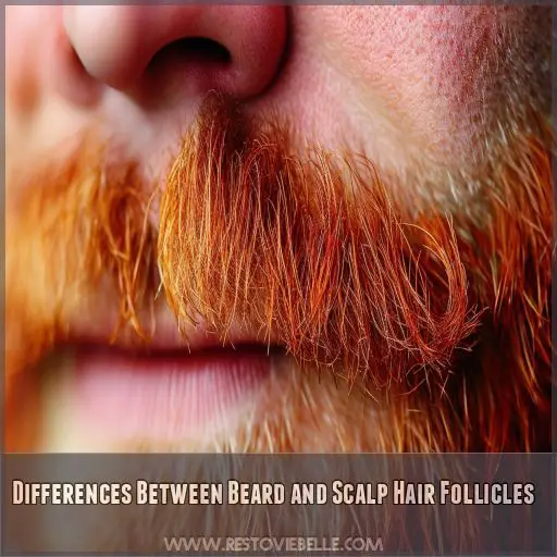 Differences Between Beard and Scalp Hair Follicles