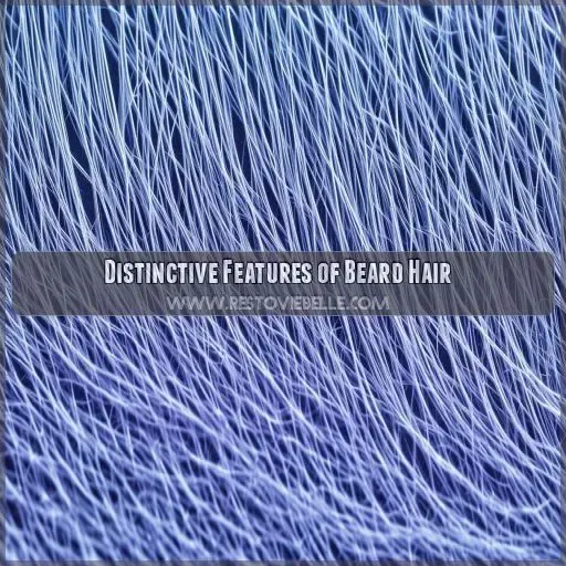 Distinctive Features of Beard Hair