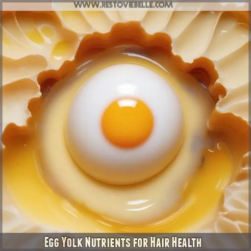 Egg Yolk Nutrients for Hair Health