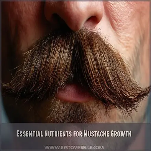 Essential Nutrients for Mustache Growth