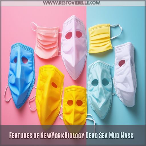 Features of NewYorkBiology Dead Sea Mud Mask