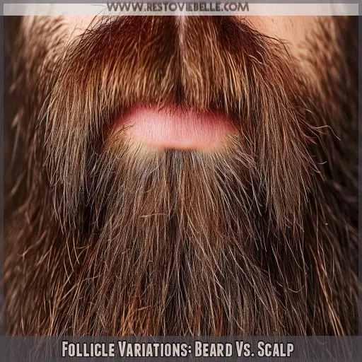 Follicle Variations: Beard Vs. Scalp