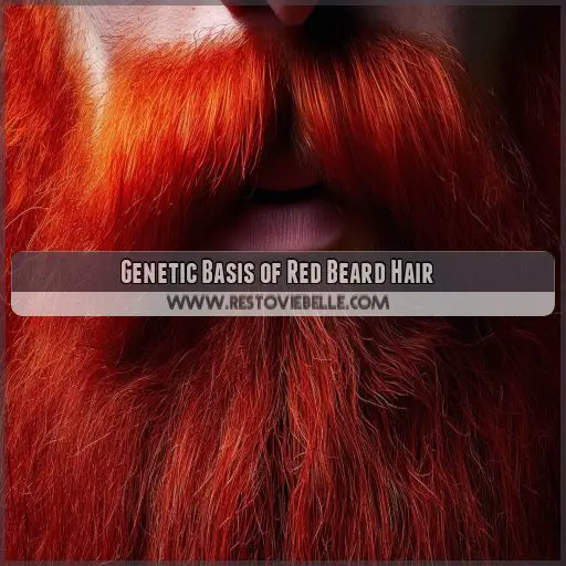 Genetic Basis of Red Beard Hair
