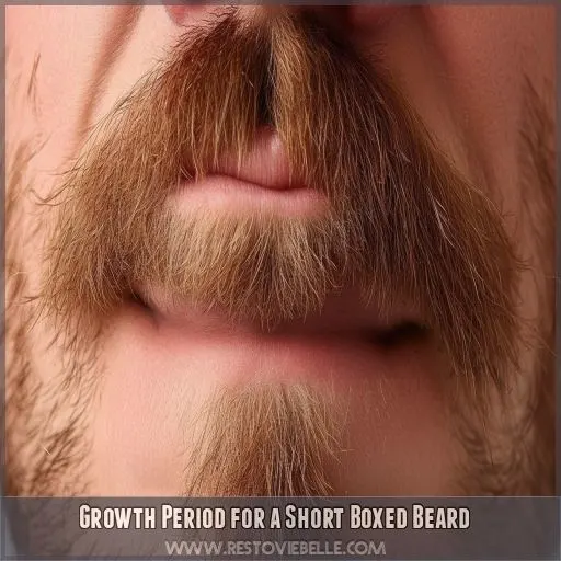 Growth Period for a Short Boxed Beard