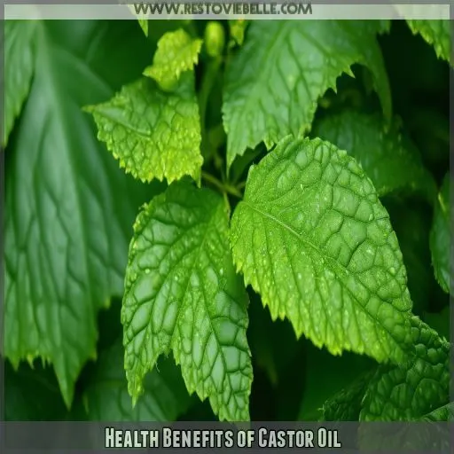 Health Benefits of Castor Oil