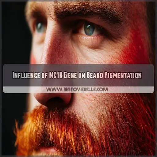 Influence of MC1R Gene on Beard Pigmentation