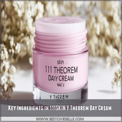 Key Ingredients in 111SKIN Y Theorem Day Cream