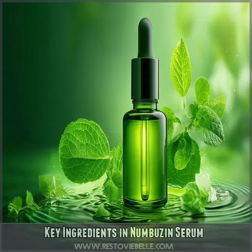 Key Ingredients in Numbuzin Serum