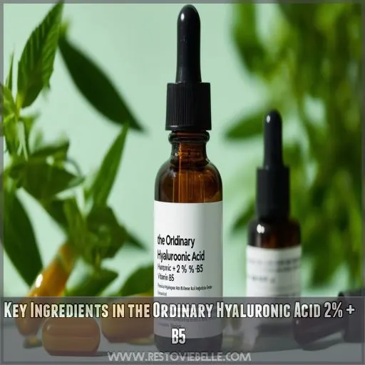 Key Ingredients in the Ordinary Hyaluronic Acid 2% + B5