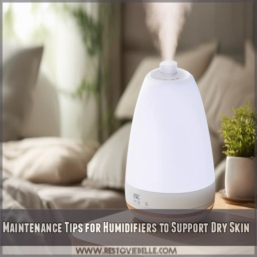 Maintenance Tips for Humidifiers to Support Dry Skin