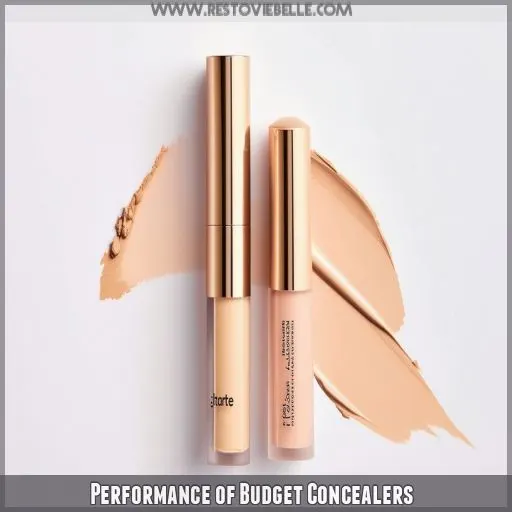 Performance of Budget Concealers