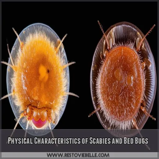 Physical Characteristics of Scabies and Bed Bugs