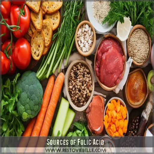 Sources of Folic Acid