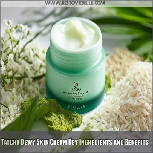 Tatcha Dewy Skin Cream Key Ingredients and Benefits