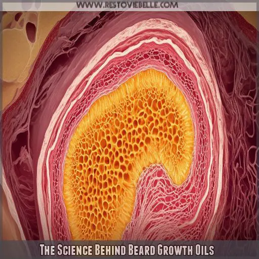 The Science Behind Beard Growth Oils