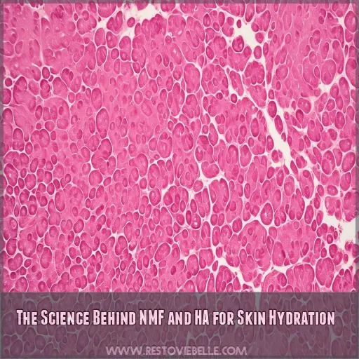 The Science Behind NMF and HA for Skin Hydration