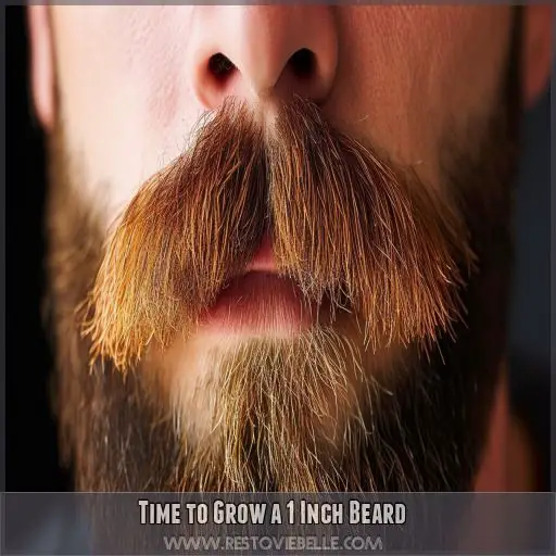 Time to Grow a 1 Inch Beard