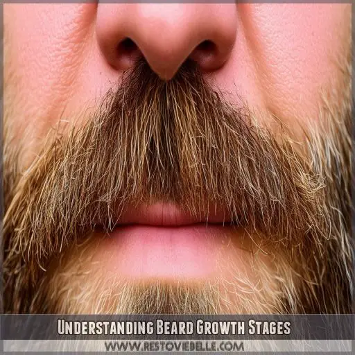 Understanding Beard Growth Stages