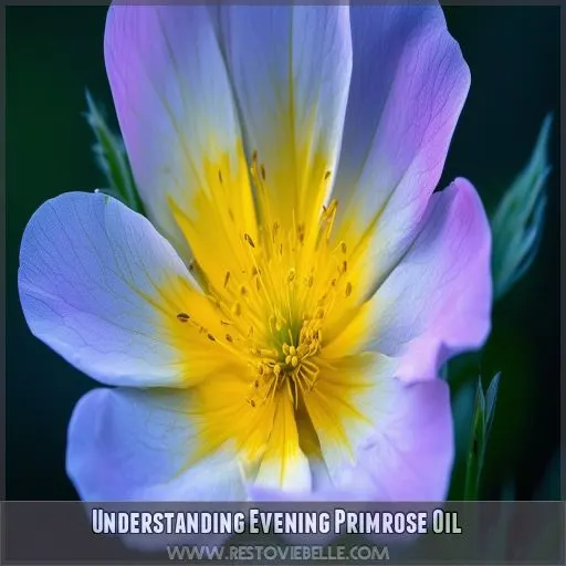 Understanding Evening Primrose Oil