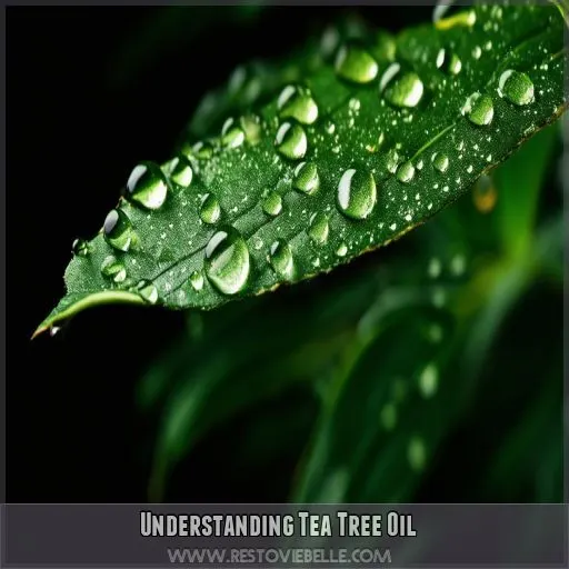 Understanding Tea Tree Oil