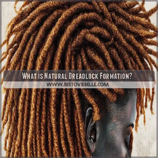 What is Natural Dreadlock Formation