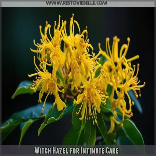 Witch Hazel for Intimate Care