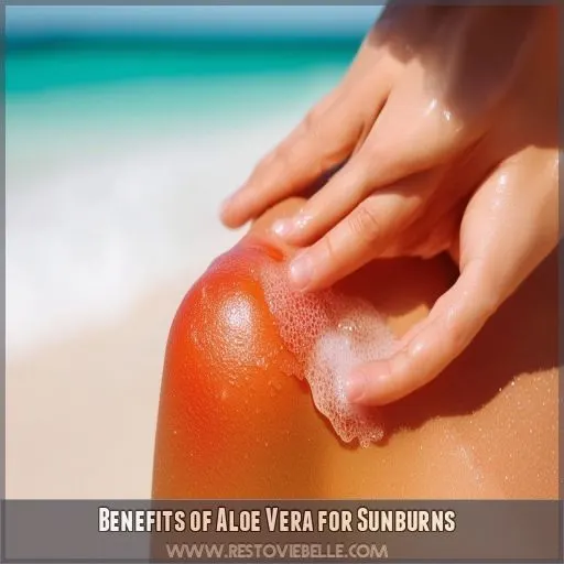 Benefits of Aloe Vera for Sunburns