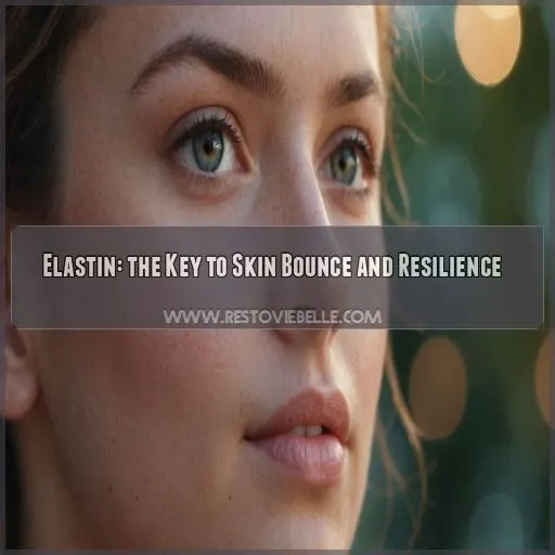 Elastin: the Key to Skin Bounce and Resilience