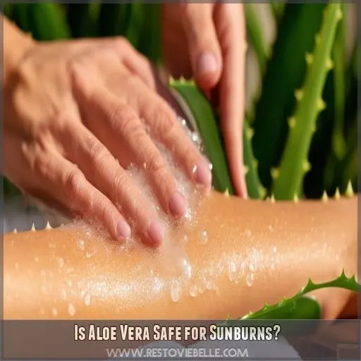 Is Aloe Vera Safe for Sunburns