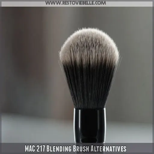 MAC 217 Blending Brush Alternatives